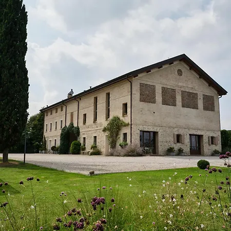 Verdenoce * Borzano